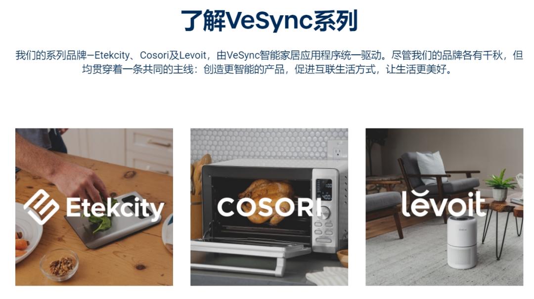 中国消费电子“出海”二十年